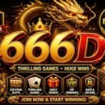 666D game