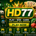 HD77 game