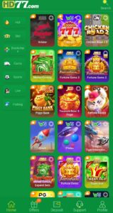 HD77 game