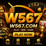 W567 game