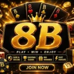 8B game