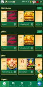 Pakwin88 game