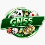 GN55 game